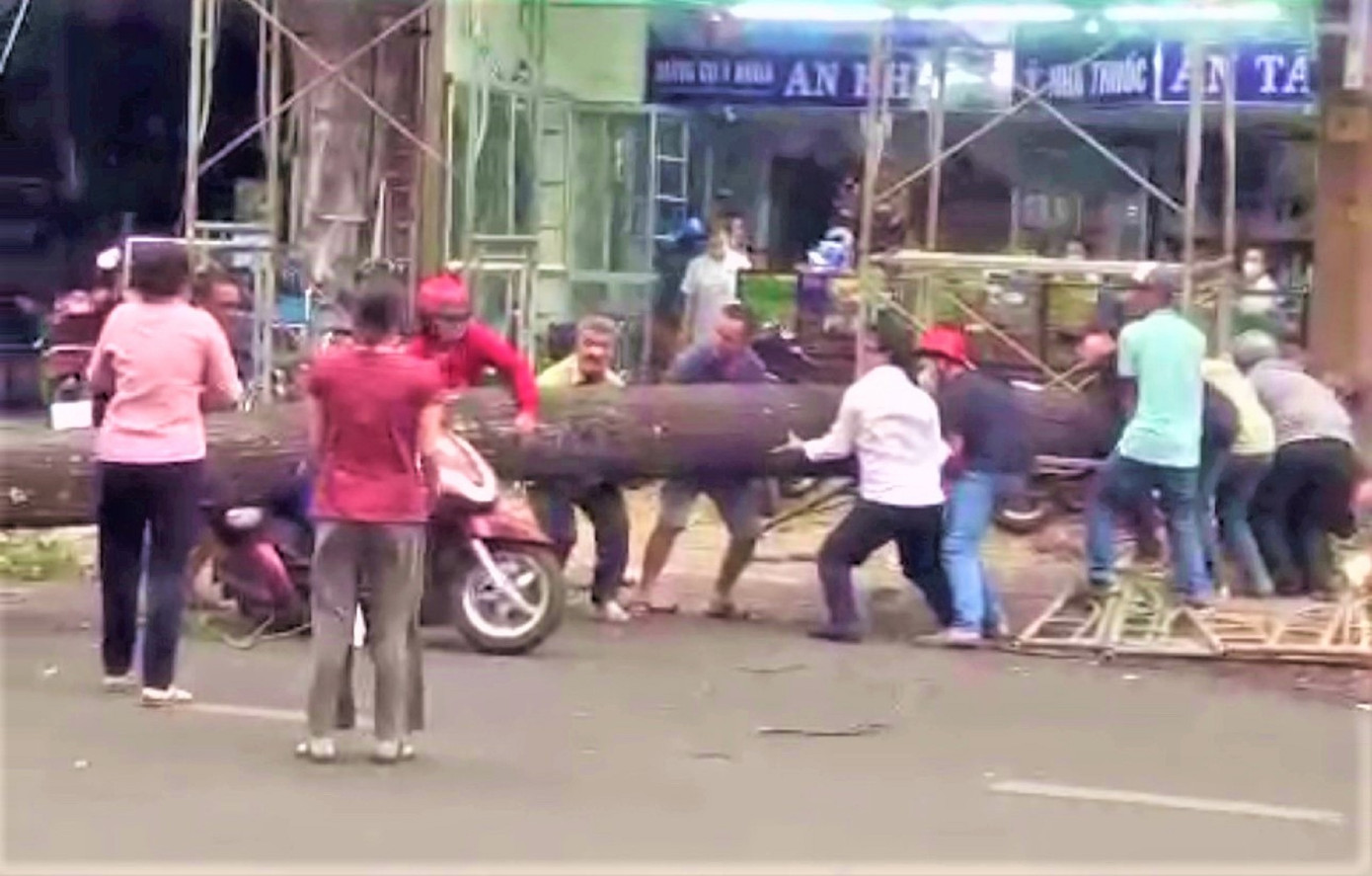 Hiện trường cây xanh ở TP Buôn Ma Thuột đổ, đè người đi đường bị thương nặng