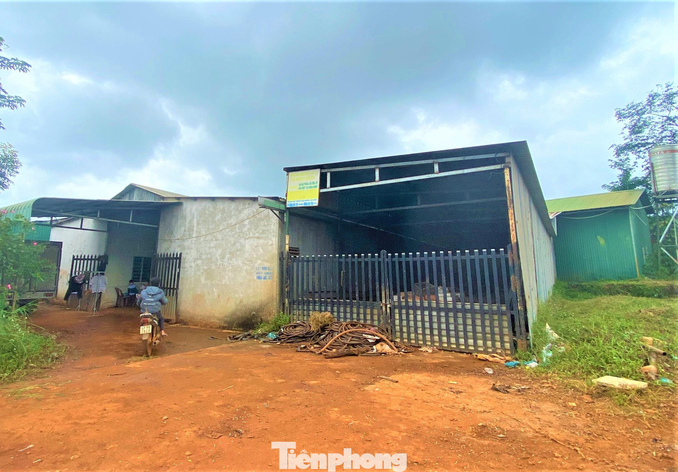 Hiện trạng đất dự án trồng cao su của Cty Huỳnh Phương Anh