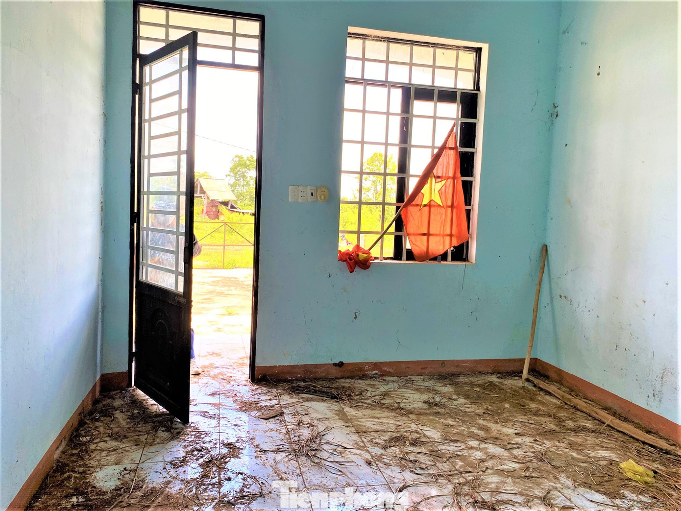 Phòng làm việc chứa đầy xác rơm, cỏ dại