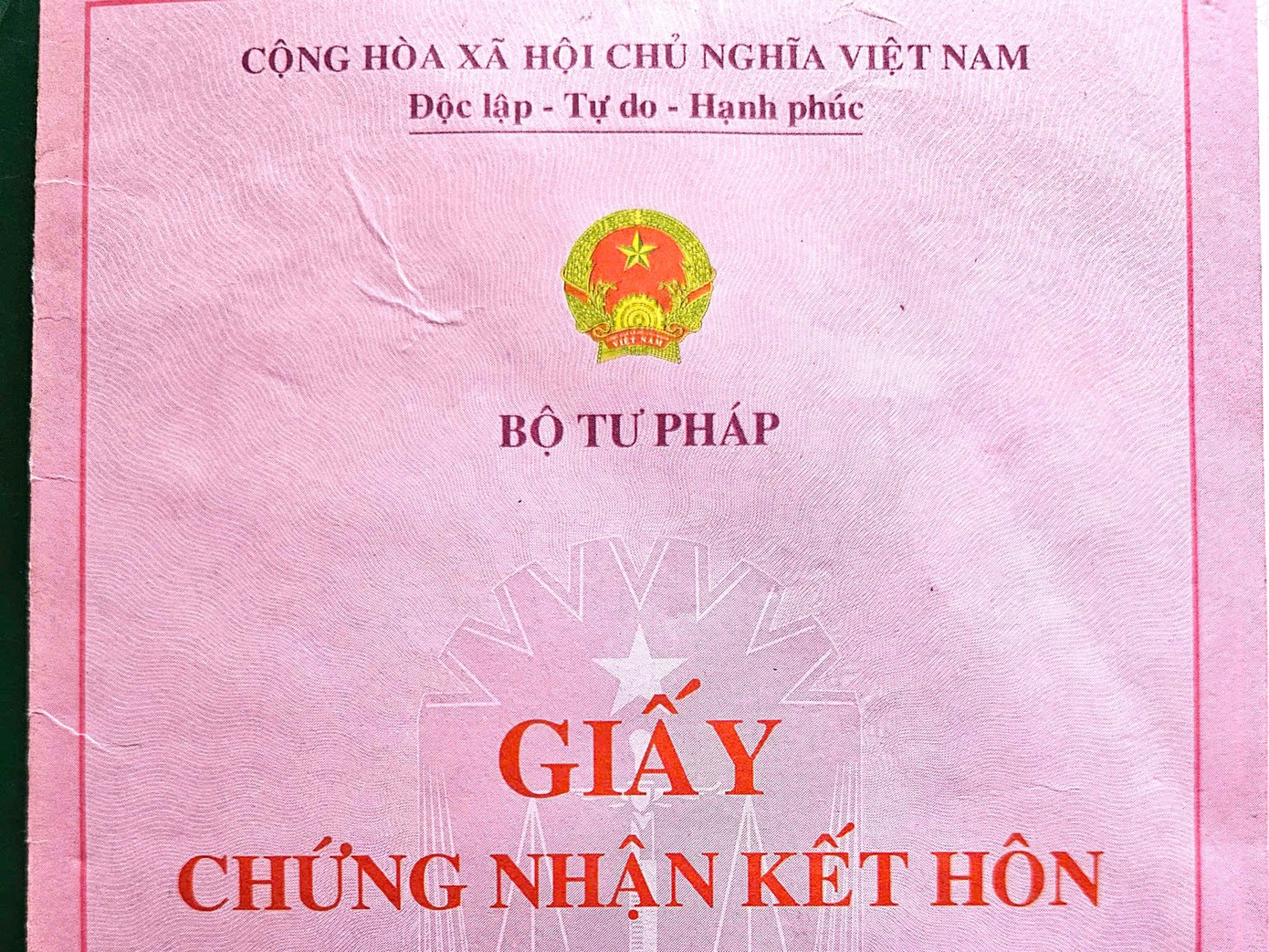 Ảnh minh họa. Nguồn: Internet Ảnh minh họa. Nguồn: Internet