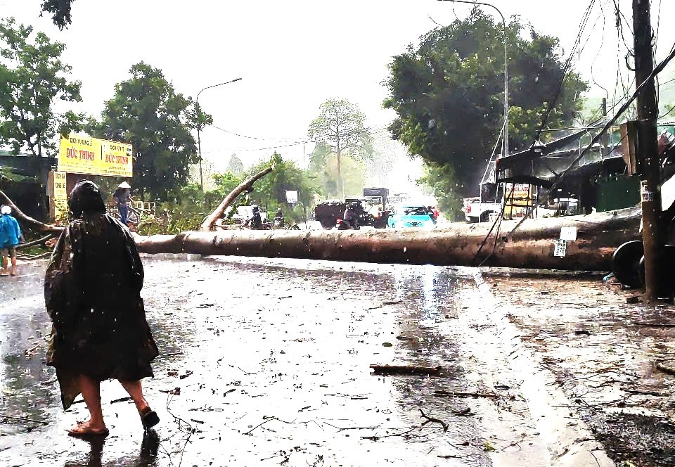 Hiện trường mưa lớn quật ngã cây, đè đổ xe cứu thương Hiện trường mưa lớn quật ngã cây, đè đổ xe cứu thương