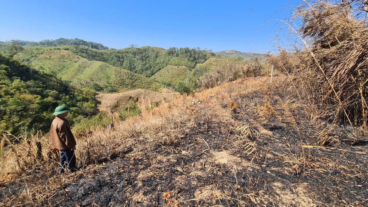 Tình trạng đất rừng bị xâm chiếm đang xảy ra tại Đắk Nông.