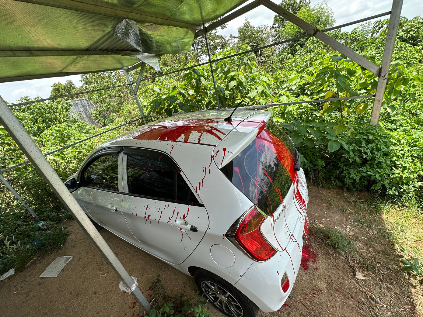 Chiếc xe của gia đình phóng viên Tuổi Trẻ bị tạt sơn