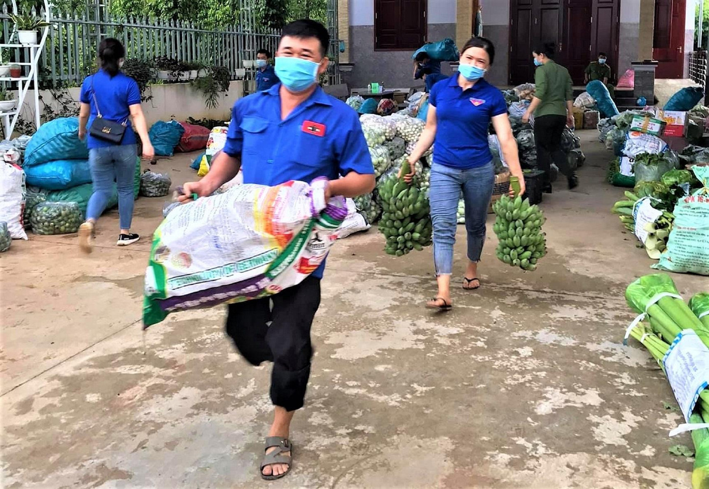 Tình nguyện viên vận chuyển rau củ quả cho chuyến xe nghĩa tình Tình nguyện viên vận chuyển rau củ quả cho chuyến xe nghĩa tình