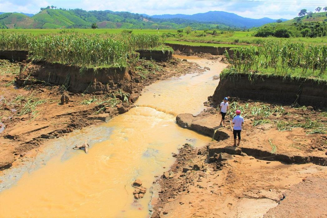 Đắk Lắk kiến nghị trung ương sớm bố trí kinh phí để đầu tư, nâng cấp hệ thống thủy lợi Đắk Lắk kiến nghị trung ương sớm bố trí kinh phí để đầu tư, nâng cấp hệ thống thủy lợi