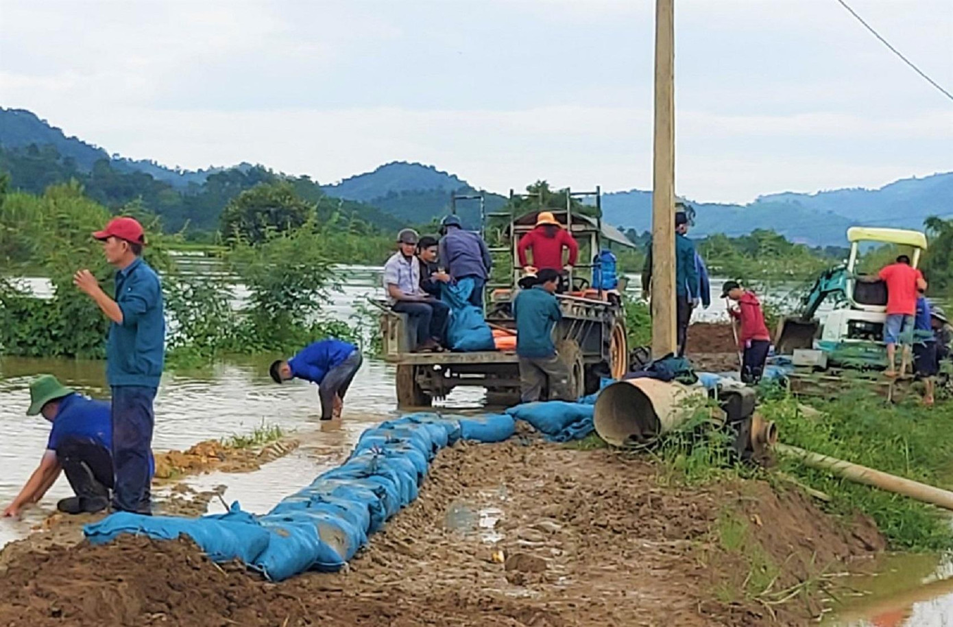 Người dân đắp đê tạm thời ngăn nước tràn vào vùng sản xuất lúa