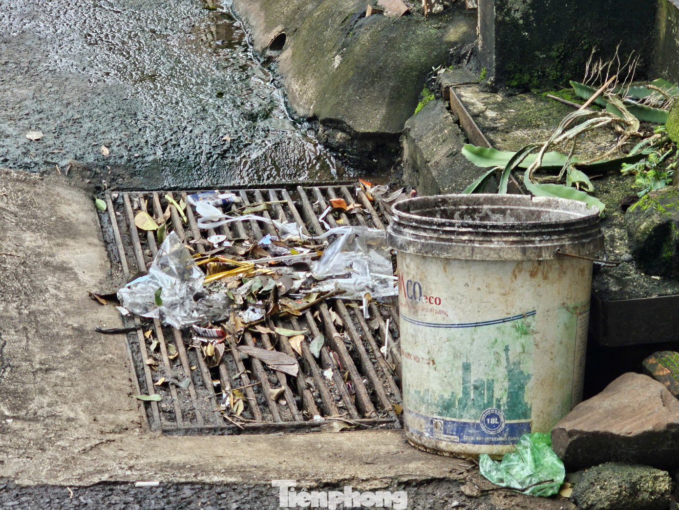 Một lưới thu gom nước bị rác bao quanh