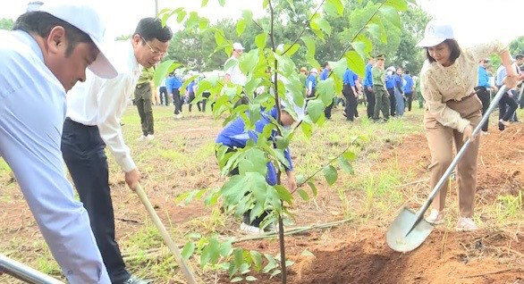 Lãnh đạo tỉnh tham gia trồng cây sau lễ phát động.