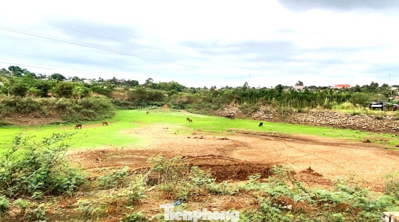 Hồ nước trơ đáy đã lâu, cỏ mọc xanh.