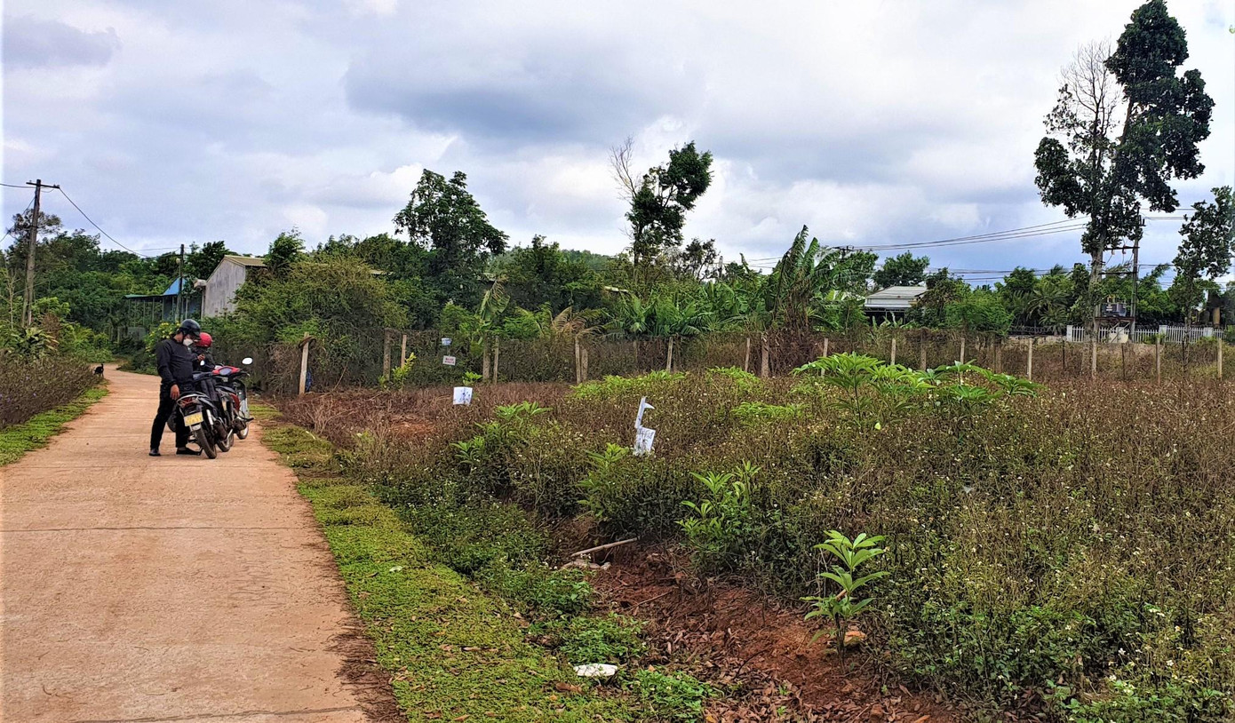 Cơn "sốt đất" tràn về các vùng quê Đắk Lắk Cơn "sốt đất" tràn về các vùng quê Đắk Lắk