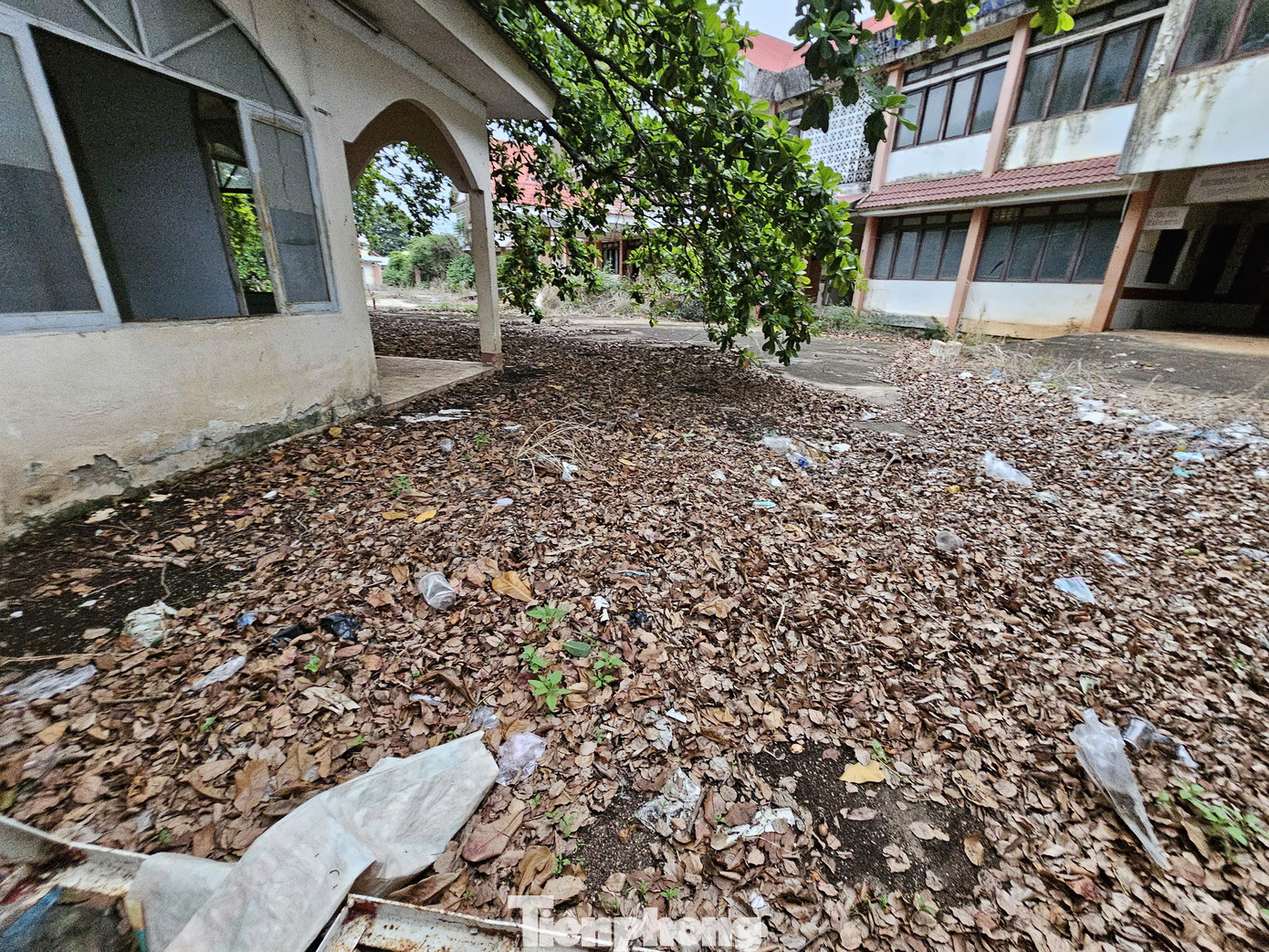 Dãy nhà có dấu hiệu xuống cấp.