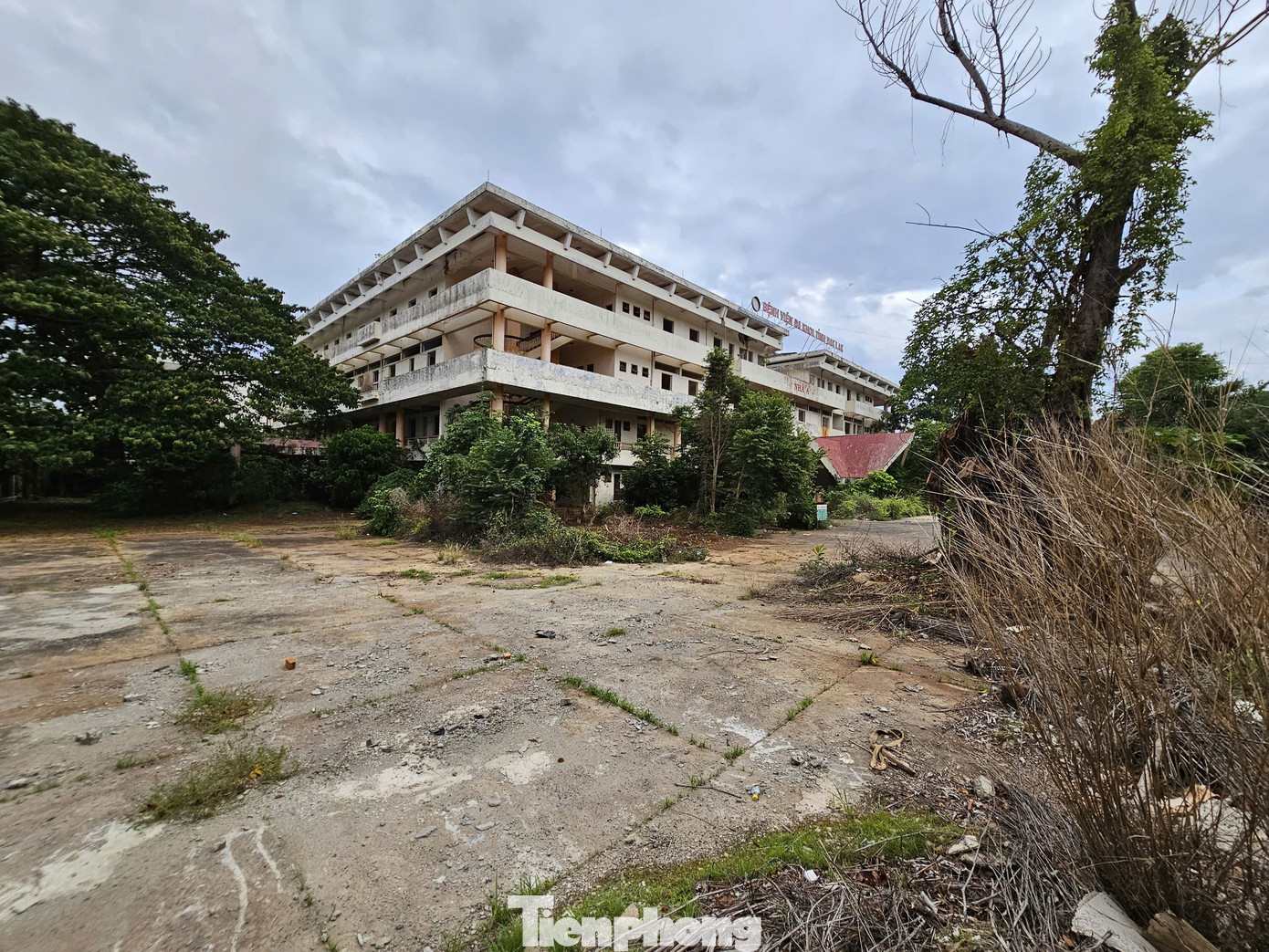 Cơ sở bệnh viện cũ này đã bỏ hoang nhiều năm.