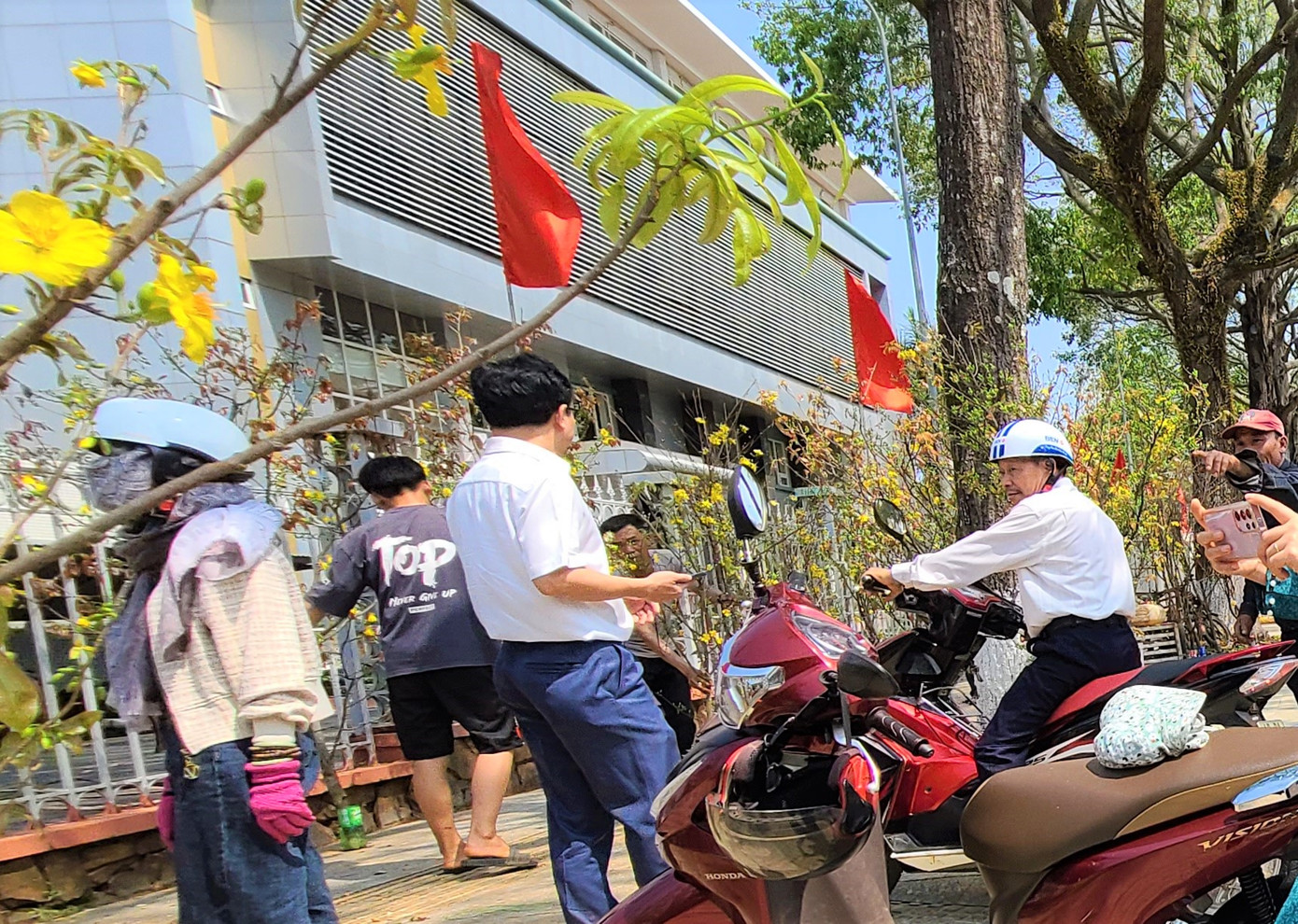 Nhiều người đến xem mai rừng.