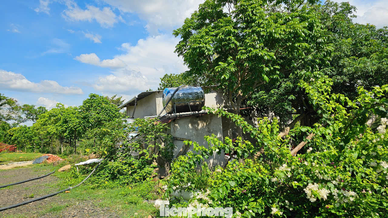 Nơi bác sĩ Tài ở khi nhập khẩu vào gia đình ông Trần Văn P. Nơi bác sĩ Tài ở khi nhập khẩu vào gia đình ông Trần Văn P.