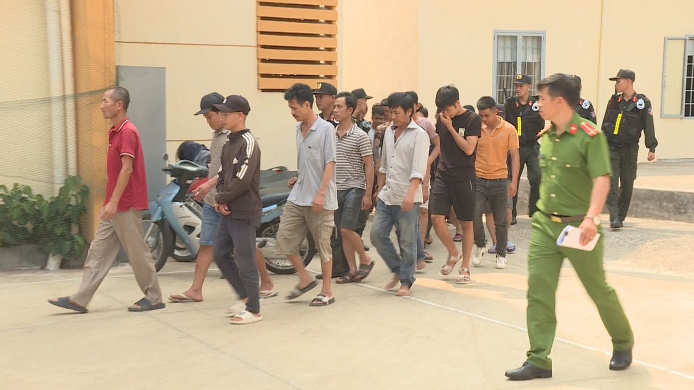 Phá trường đá gà quy mô lớn ở Đắk Lắk ảnh 1 Phá trường đá gà quy mô lớn ở Đắk Lắk ảnh 1