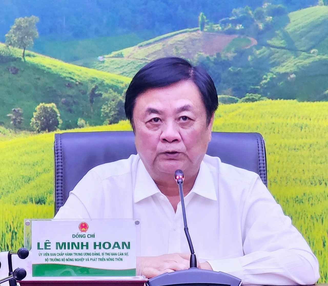 Bộ trưởng Lê Minh Hoan phát biểu tại điểm cầu trực tuyến.