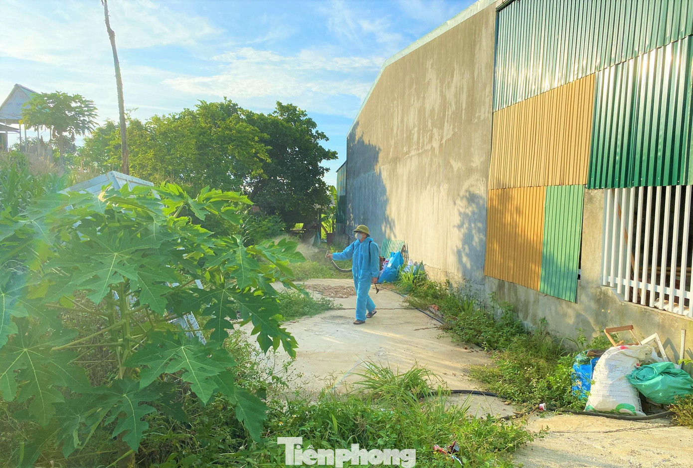 Đắk Lắk lên phương án ứng phó cho tình huống dịch bệnh bùng phát ra cộng đồng