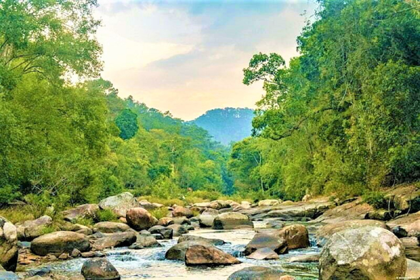 Một góc Vườn quốc gia Chư Yang Sin. Ảnh minh họa