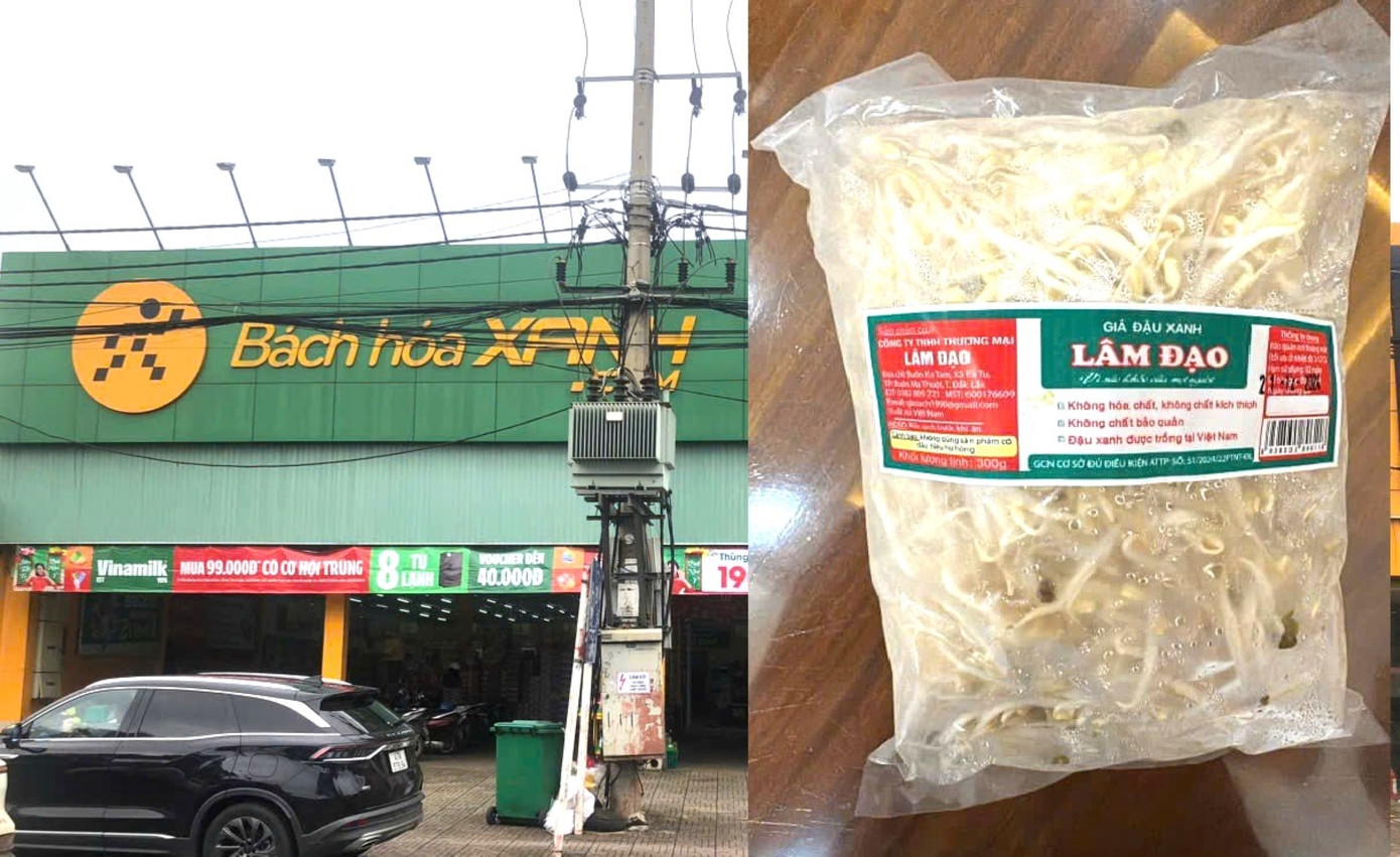 Bách Hoá Xanh bán giá đỗ ngâm hoá chất độc hại. Bách Hoá Xanh bán giá đỗ ngâm hoá chất độc hại.