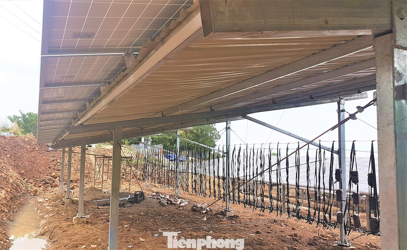 Theo kết luận của Bộ Công thương, các chủ đầu tư ĐMTMN chỉ quan tâm đến việc bán điện Theo kết luận của Bộ Công thương, các chủ đầu tư ĐMTMN chỉ quan tâm đến việc bán điện