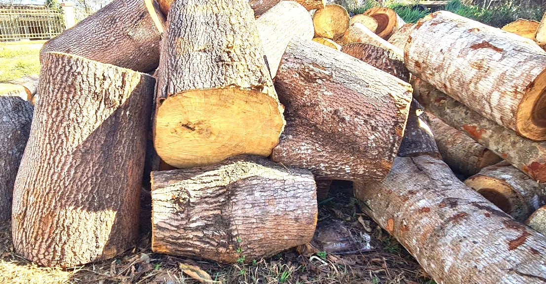 Phần khối lượng gỗ còn để lại hiện trường. Phần khối lượng gỗ còn để lại hiện trường.