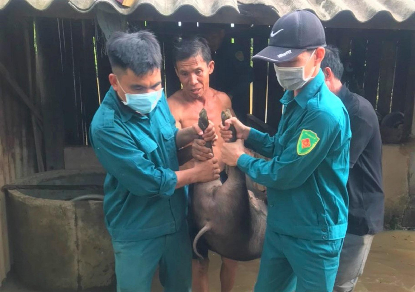 Lực lượng dân quân tự vệ giúp dân di dời vật nuôi. Ảnh: B.Bân