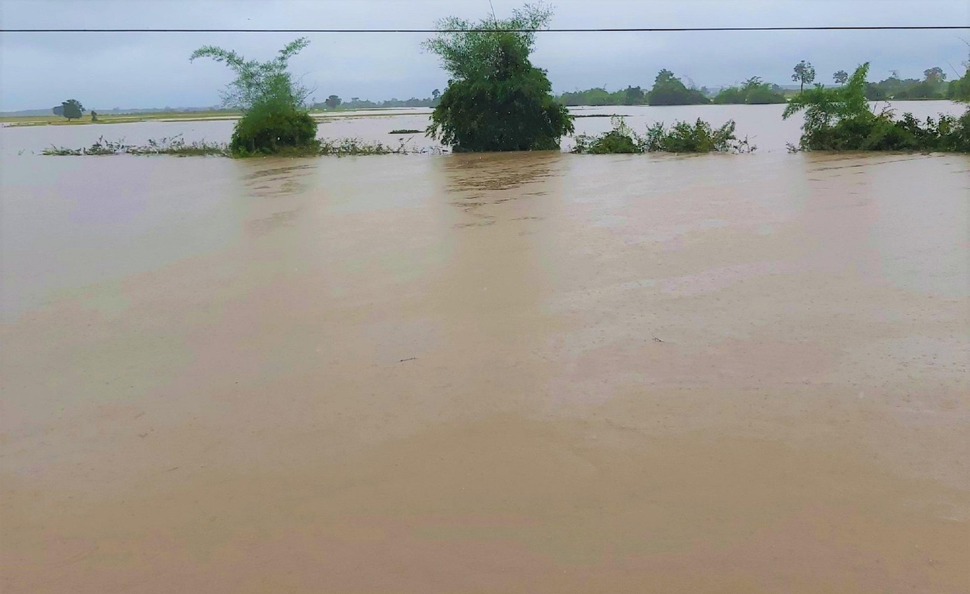 Cánh đồng lúa chìm trong nước. Ảnh: B.Bân