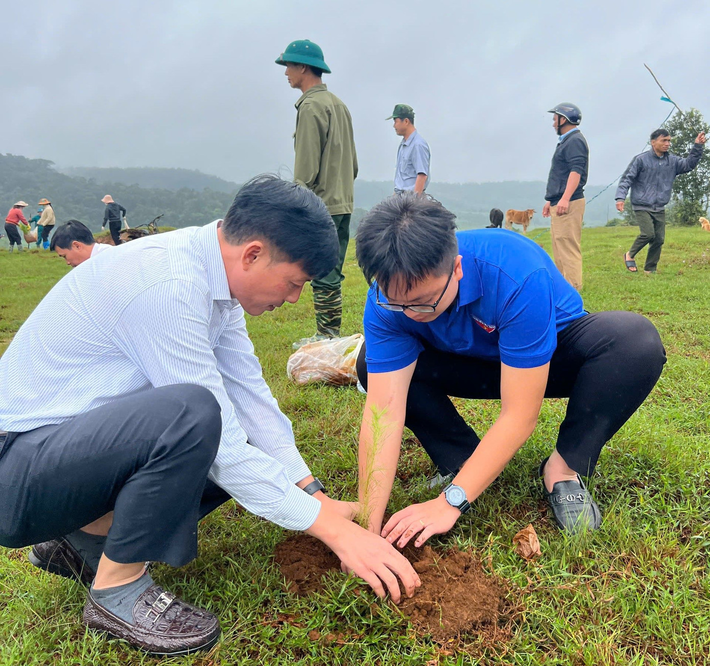 Cây xanh được trồng trên vùng đất Quảng Tâm, huyện Tuy Đức