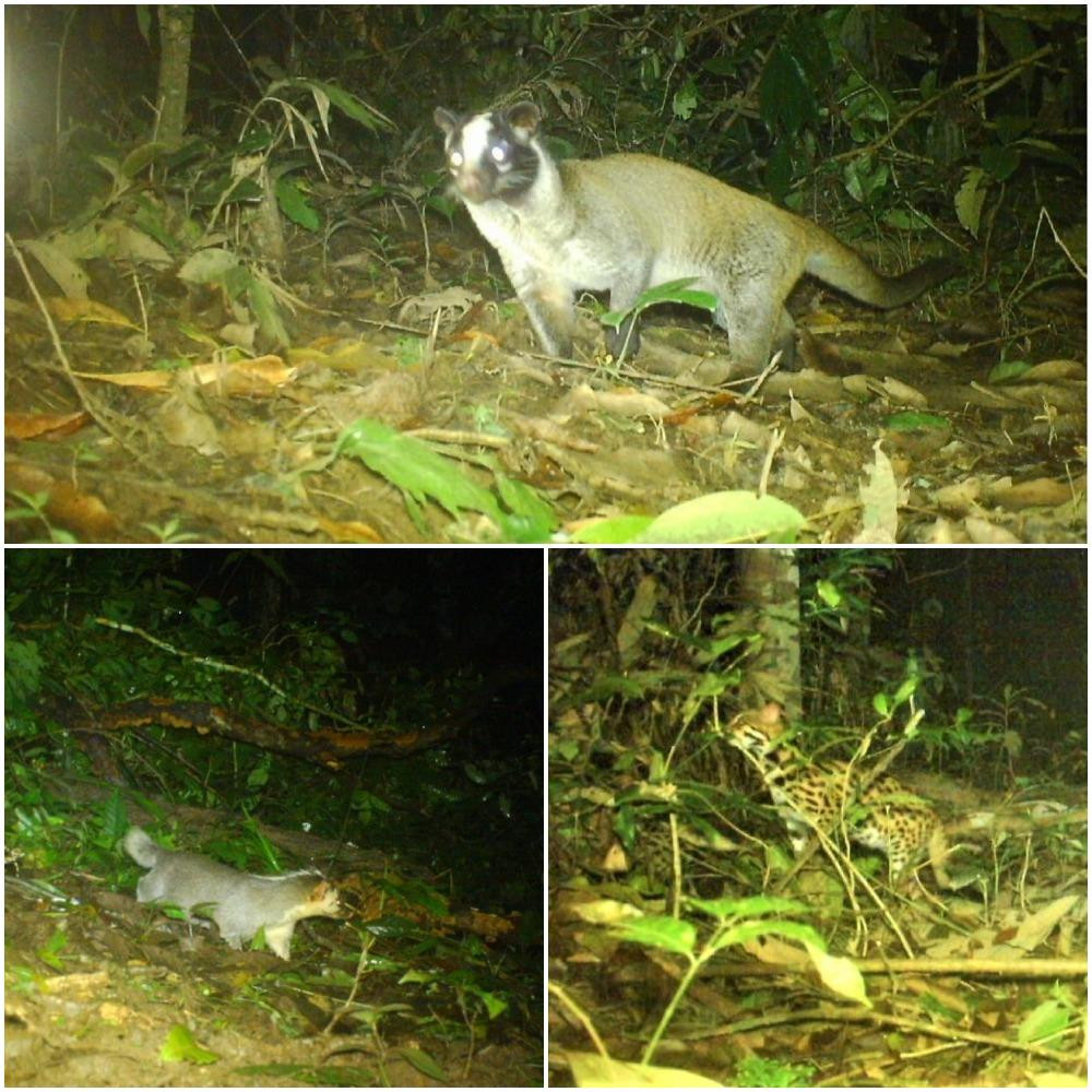Những hình ảnh do Đoàn công tác Trường Đại học Nông lâm TP. Hồ Chí Minh ghi lại Những hình ảnh do Đoàn công tác Trường Đại học Nông lâm TP. Hồ Chí Minh ghi lại