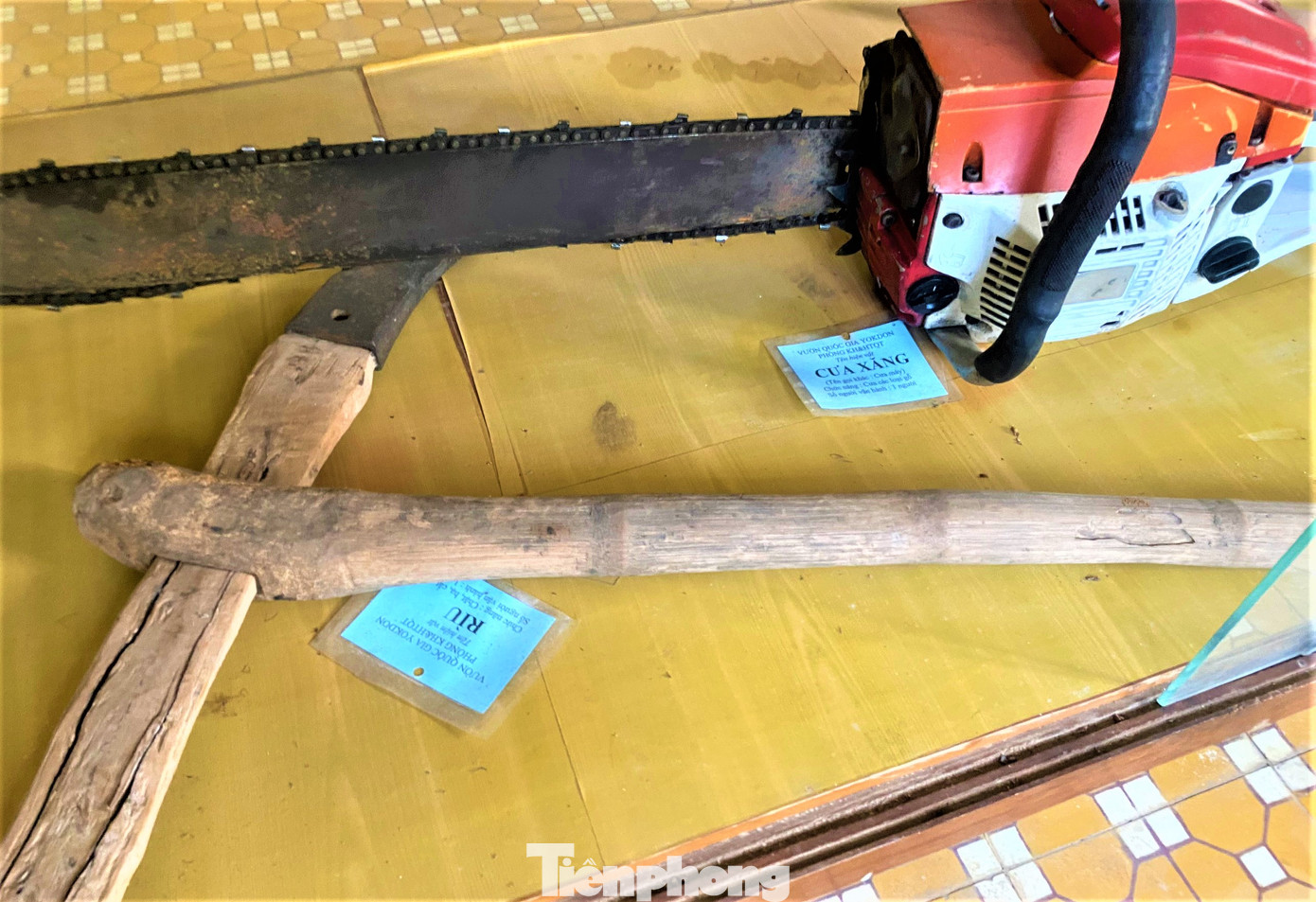 Rìu, cưa xăng, dùng để cưa gỗ Rìu, cưa xăng, dùng để cưa gỗ