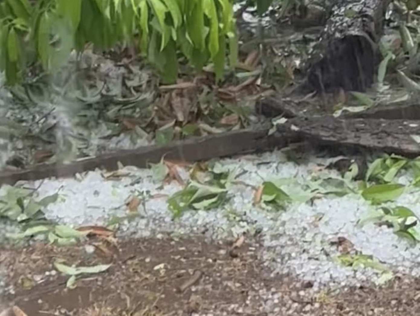 Mưa đá xuất hiện trên địa bàn xã Ea Kly gây thiệt hại cây trồng