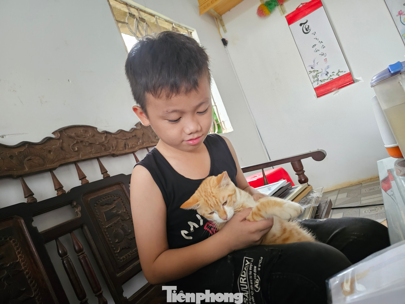 Nghĩa bên chú mèo đáng yêu