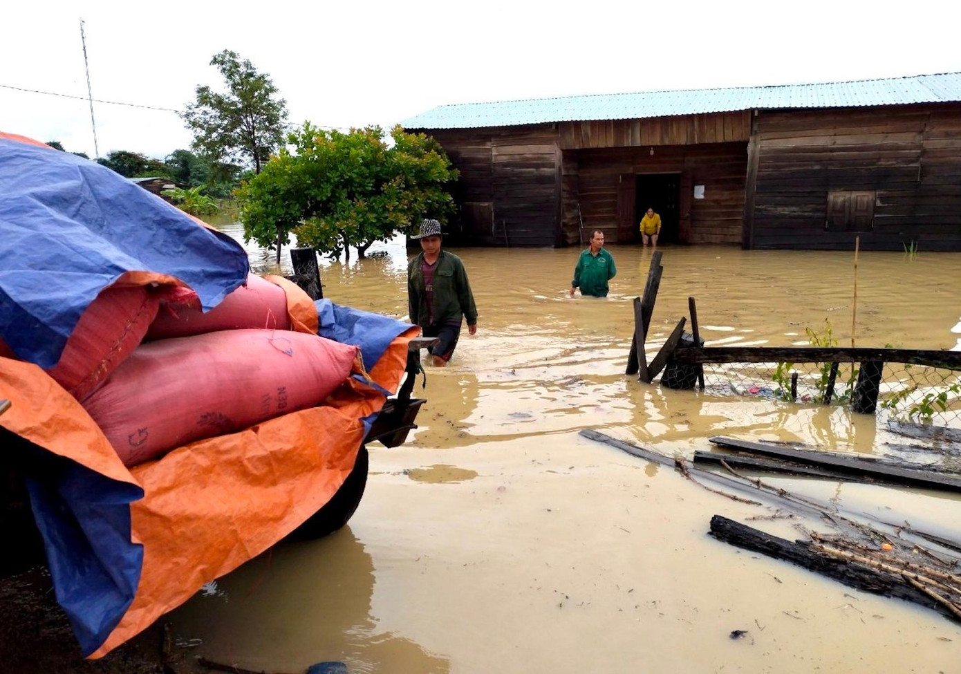 Một hộ gia đình ở xã Ia Mơr (huyện Chư Prông) đưa nông sản đến nơi khô ráo Một hộ gia đình ở xã Ia Mơr (huyện Chư Prông) đưa nông sản đến nơi khô ráo