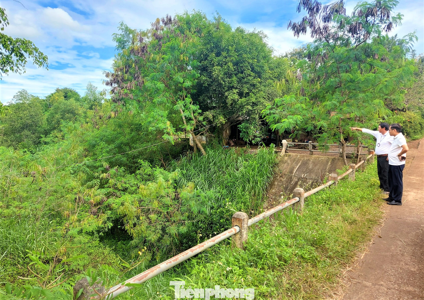 Phần đầu đoạn kênh bị phủ kín bởi cây cỏ dại