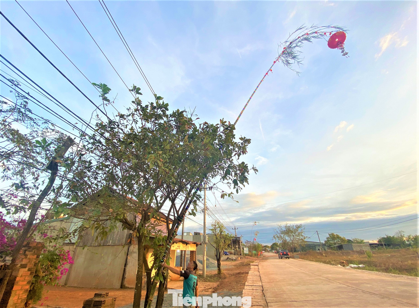 Anh Nhu kiểm tra lại hệ thống đèn trang trí lên cây nêu.