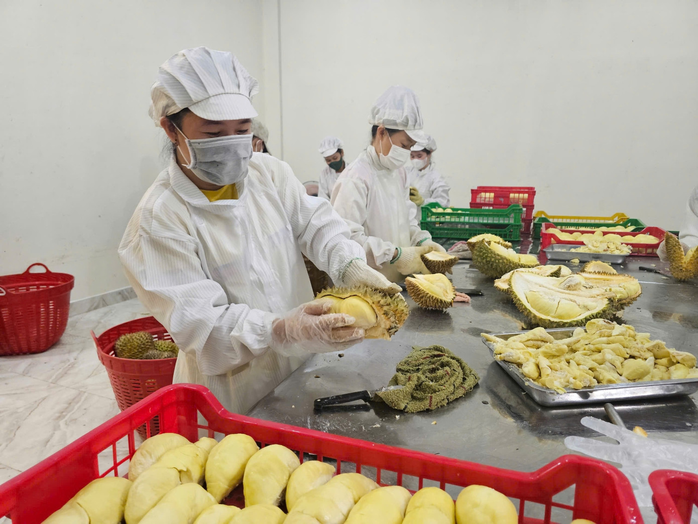 Để sầu riêng phát triển bền vững, cần đầu tư cho chế biến sâu, đa dạng hoá sản phẩm. Để sầu riêng phát triển bền vững, cần đầu tư cho chế biến sâu, đa dạng hoá sản phẩm.