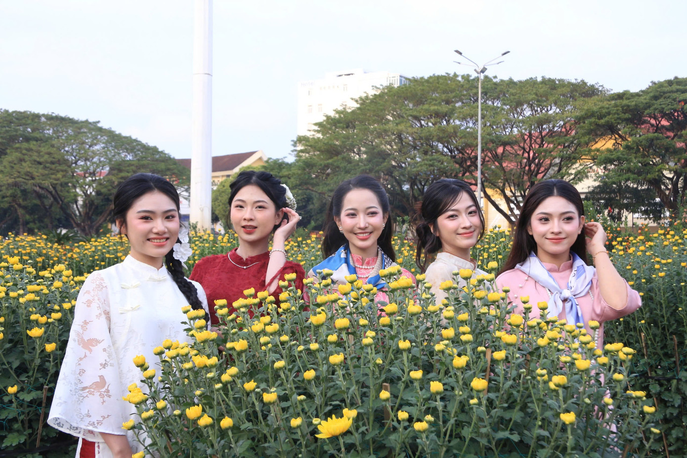 Các "nàng thơ" dịu dàng tạo dáng bên những chậu cúc vàng rực rỡ. Các "nàng thơ" dịu dàng tạo dáng bên những chậu cúc vàng rực rỡ.