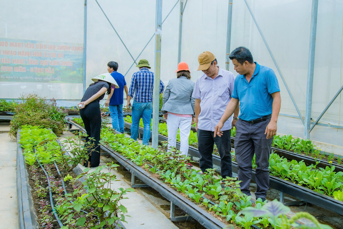DNo FarmStay hoạt động trong lĩnh vực nông nghiệp công nghệ cao DNo FarmStay hoạt động trong lĩnh vực nông nghiệp công nghệ cao