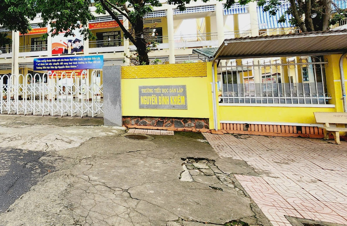 Nhà trường quyết định đình chỉ công tác đối với cô giáo Nhà trường quyết định đình chỉ công tác đối với cô giáo