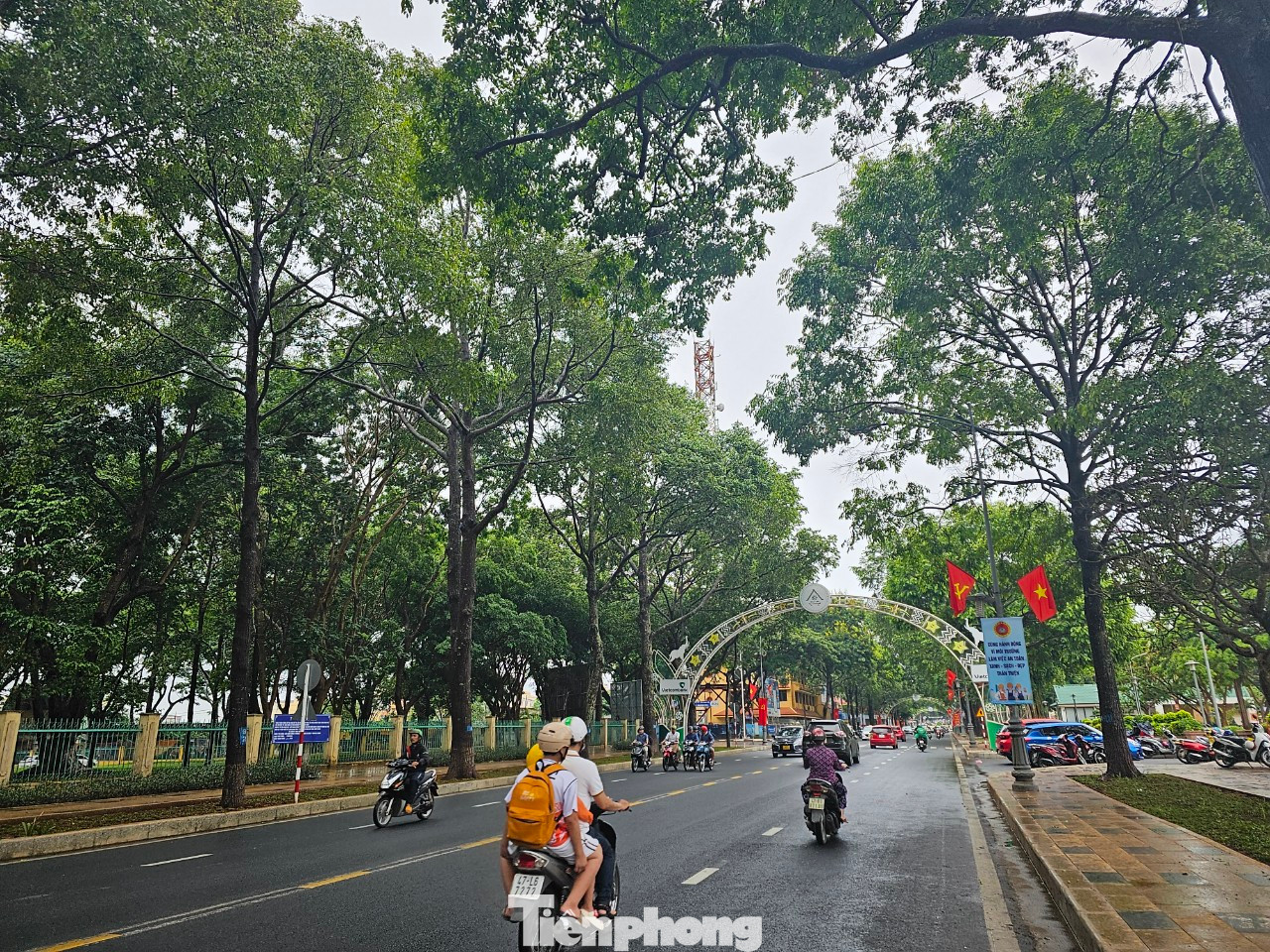 Hàng cây xanh trên đường Lê Duẩn, TP Buôn Ma Thuột