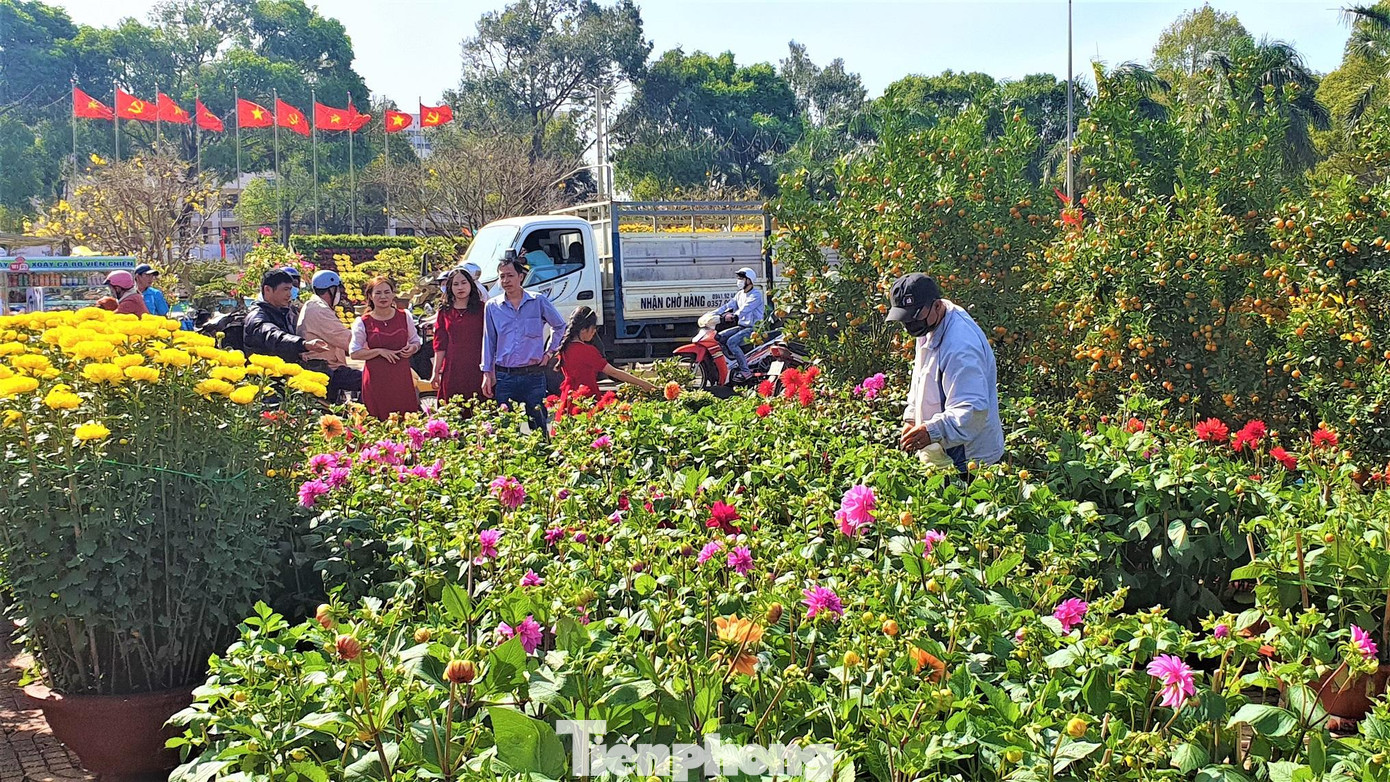 Người dân Đắk Lắk đến Hội hoa Xuân năm 2021