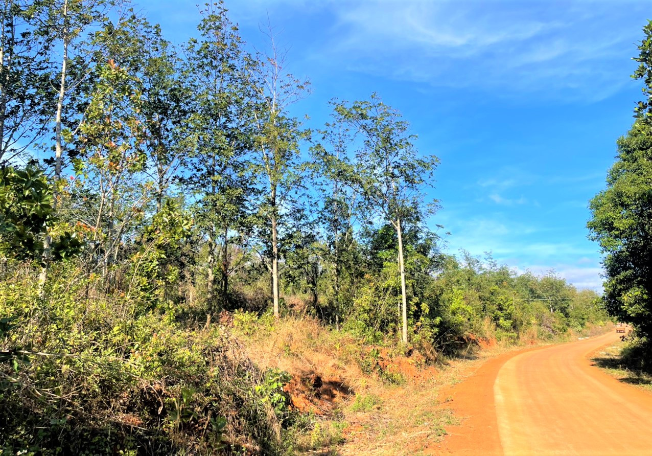 Diện tích đất được xác định cấp chồng lấn cho người dân