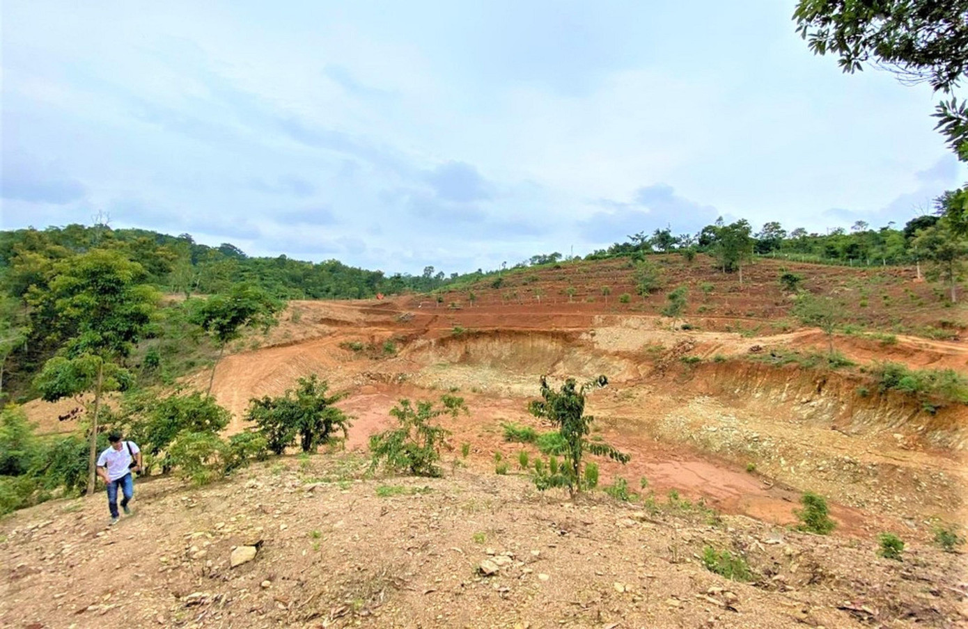 Nhiều diện tích đất nhà ông Diễn bị san ủi, biến dạng Nhiều diện tích đất nhà ông Diễn bị san ủi, biến dạng