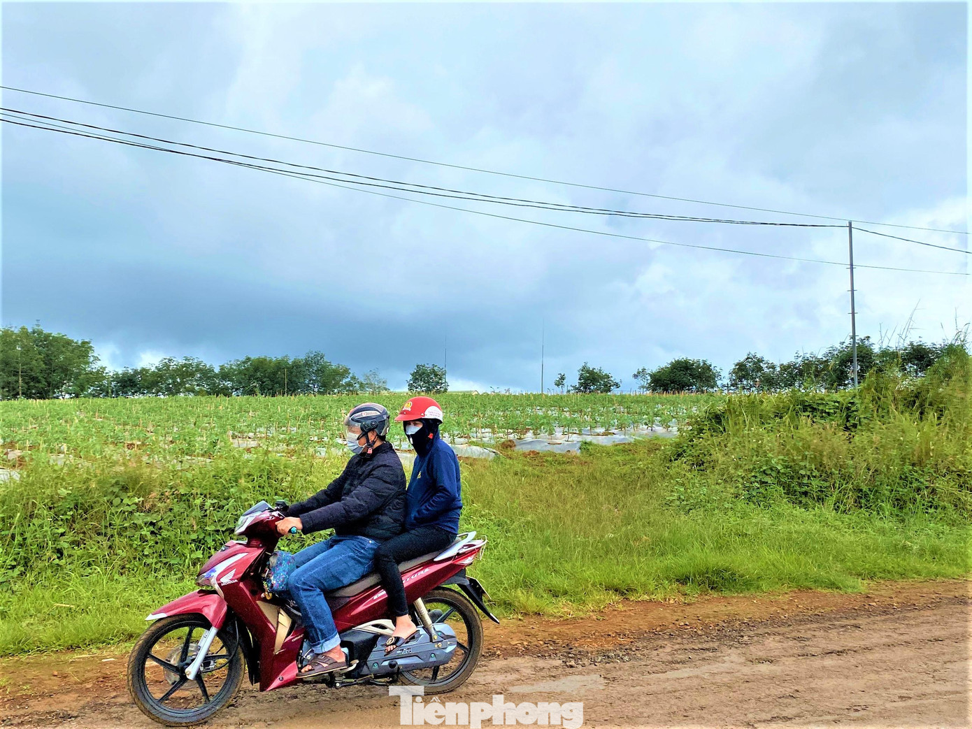 Cty Huỳnh Phương Anh không triển khai dự án theo đúng mục tiêu ban đầu Cty Huỳnh Phương Anh không triển khai dự án theo đúng mục tiêu ban đầu
