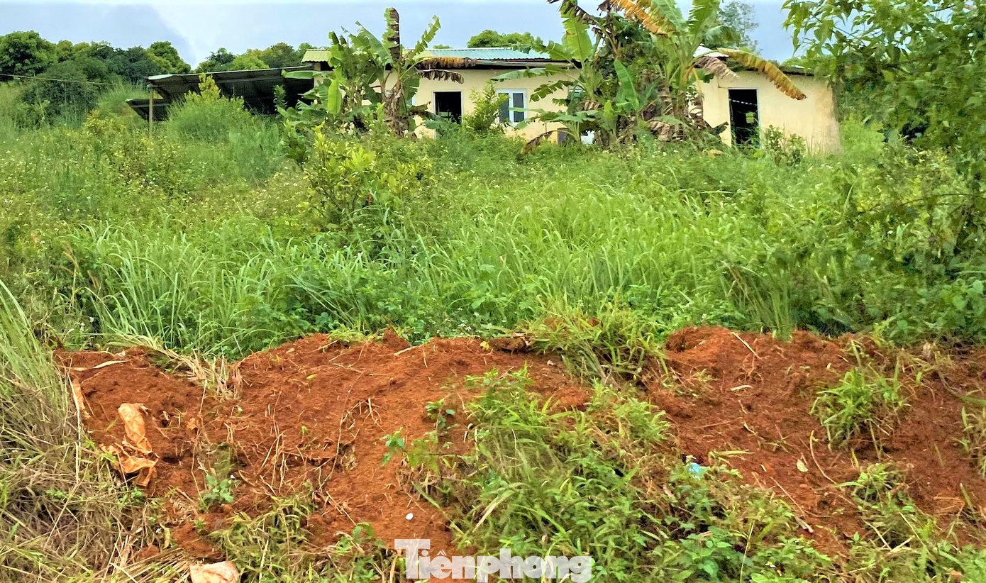 Nhiều ngôi nhà dựng trên đất dự án vẫn chưa được cơ quan có thẩm quyền xử lý Nhiều ngôi nhà dựng trên đất dự án vẫn chưa được cơ quan có thẩm quyền xử lý