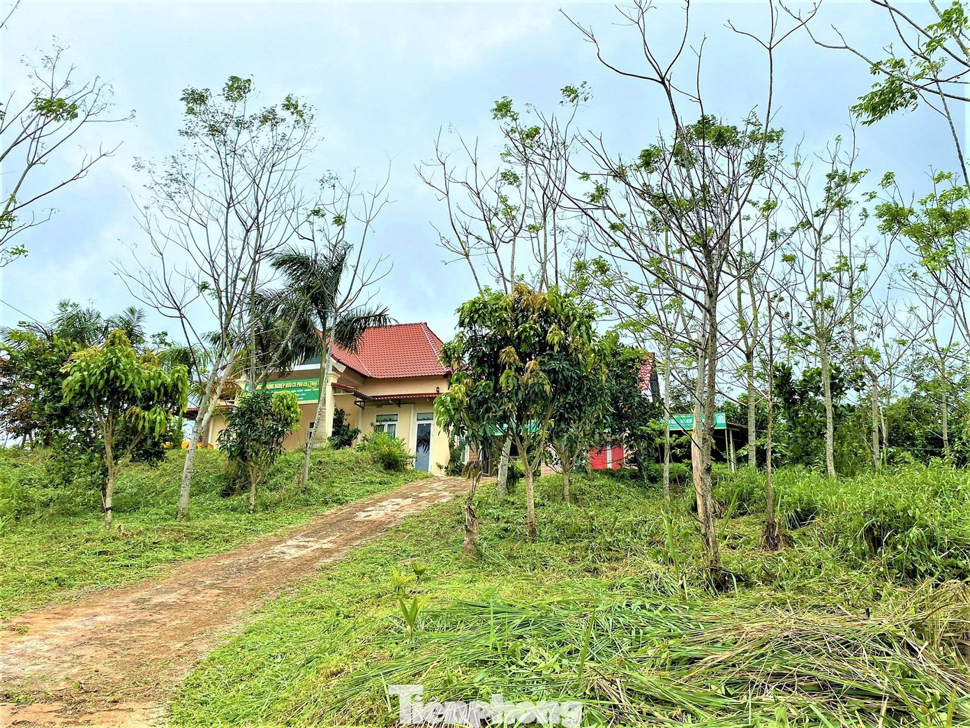 Một ngôi nhà kiên cố dựng trên đất Cty Huỳnh Phương Anh Một ngôi nhà kiên cố dựng trên đất Cty Huỳnh Phương Anh