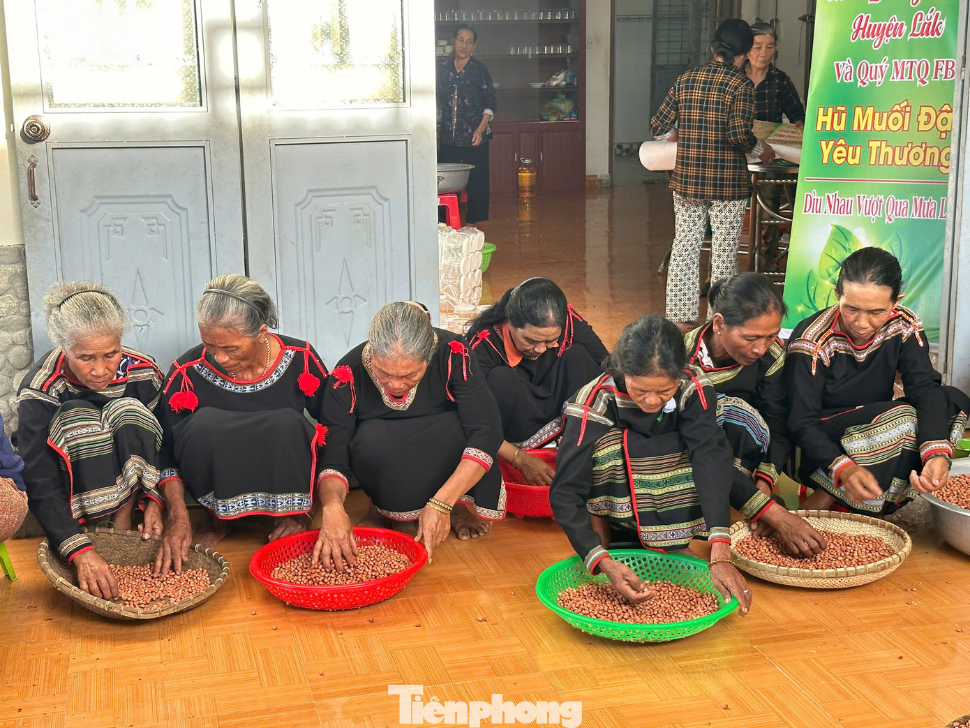 Các bà, các mẹ lựa chọn từng hạt đậu ngon nhất