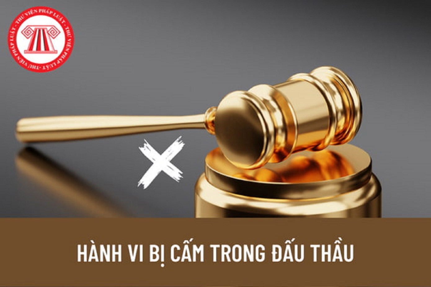 Hai doanh nghiệp trên bị cấm tham gia đấu thầu.