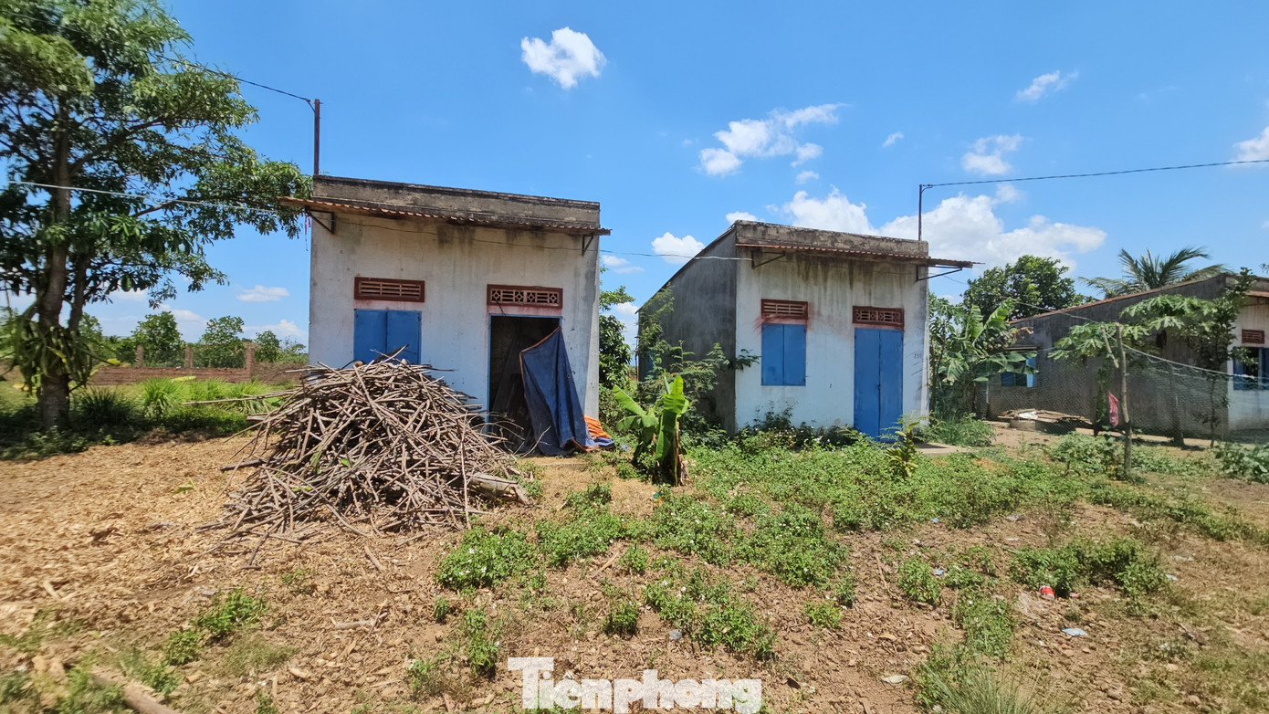 Nhiều căn nhà bị xuống cấp do bỏ hoang lâu ngày Nhiều căn nhà bị xuống cấp do bỏ hoang lâu ngày