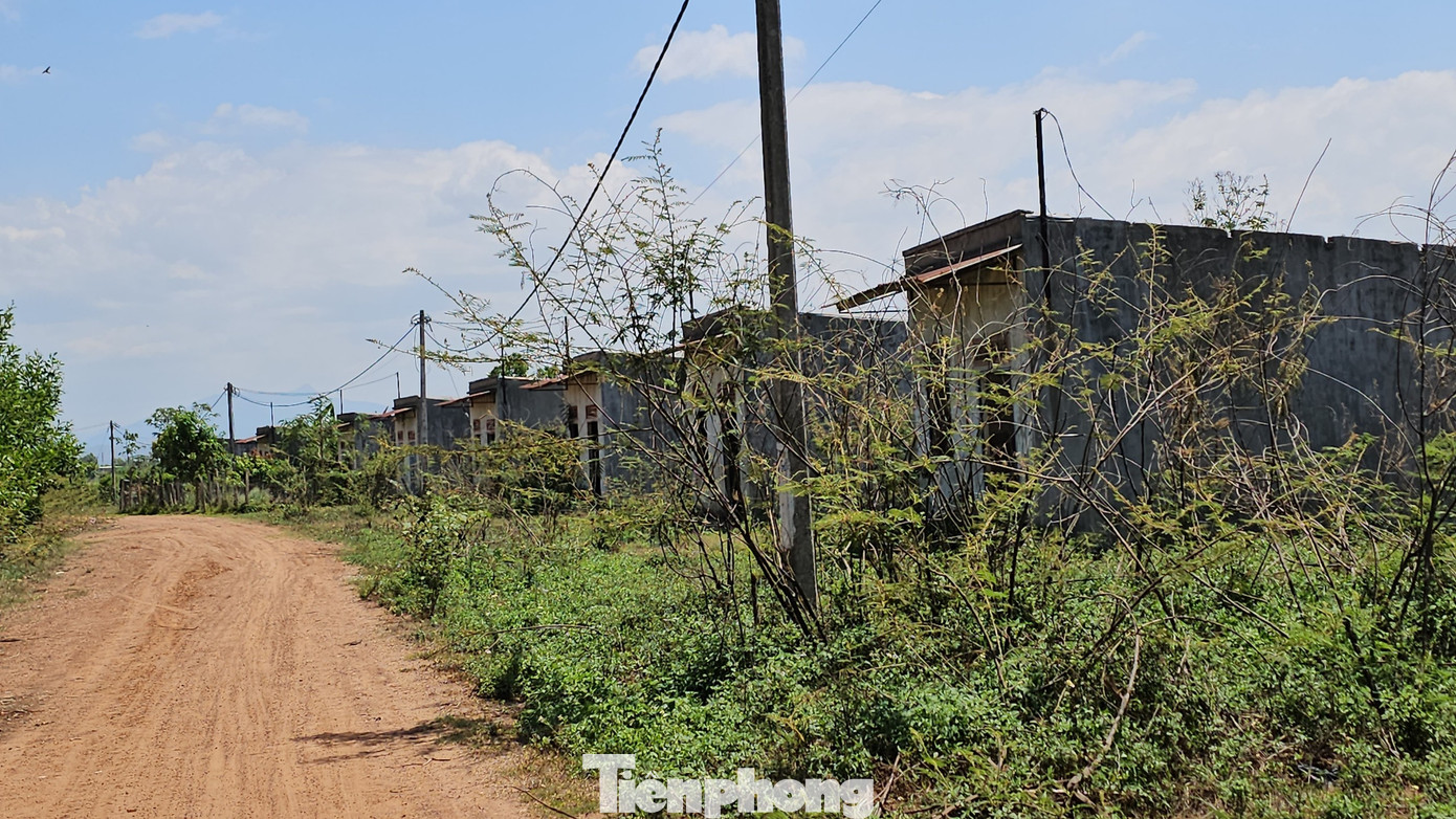 Loạt ngôi nhà trong khu tái định cư bị bỏ hoang Loạt ngôi nhà trong khu tái định cư bị bỏ hoang